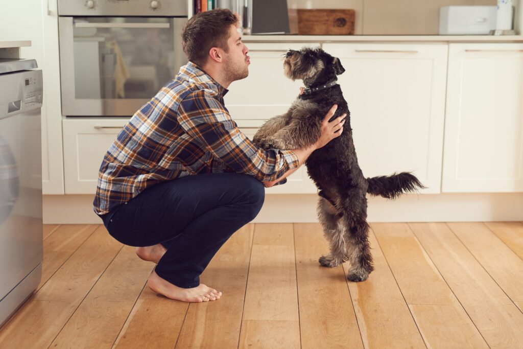 Derfor giver det mening at tale med din hund - welltica.dk - Vejen til et bedre liv