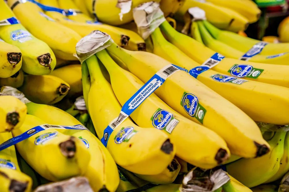 Bananer - welltica.dk - Vejen til et bedre liv