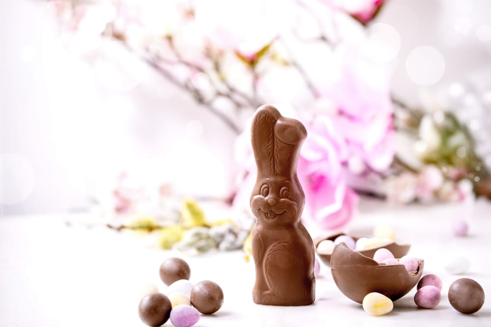 Påske, chokolade, kanin - welltica.dk - Vejen til et bedre liv
