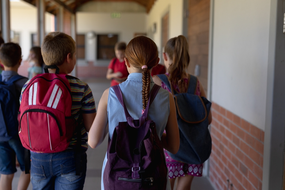 Elementary,School,Children.,Rear,View,Of,A,Diverse,Group,Of - welltica.dk - Vejen til et bedre liv