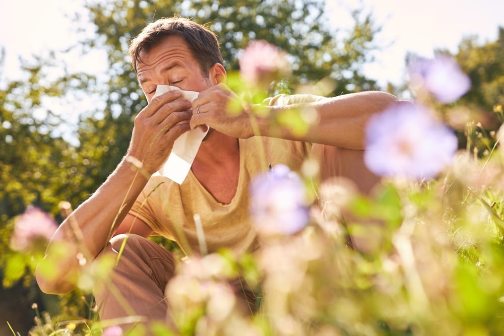 Man,Sneezing,Into,Handkerchief,With,Hay,Fever,In,A,Blooming - welltica.dk - Vejen til et bedre liv