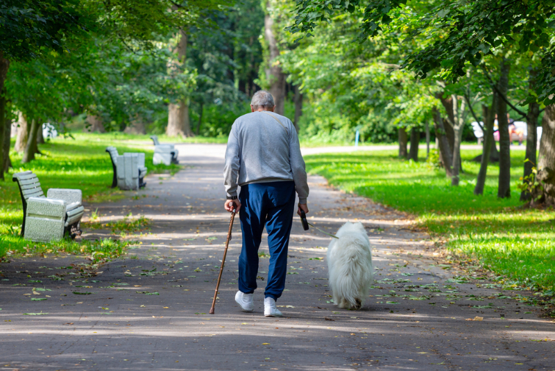 Dog, owner, elder, old, walk - welltica.dk - Vejen til et bedre liv