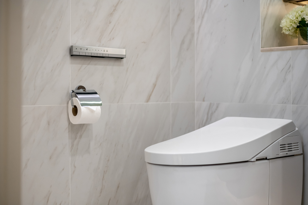 SmartBidetToiletSeatClose-upInTheRestRoom - welltica.dk - Vejen til et bedre liv