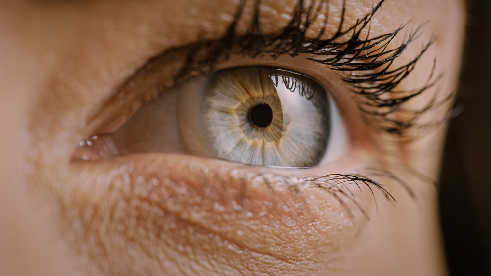 CloseUpMacroShotOfAnEyeYoungBeatifulFemale - welltica.dk - Vejen til et bedre liv