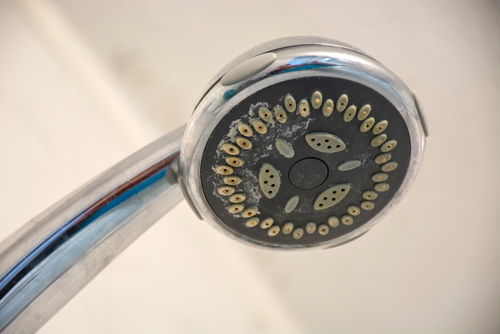 DirtyChromeShowerHeadWithLimescaleThatShouldBeCleaned - welltica.dk - Vejen til et bedre liv