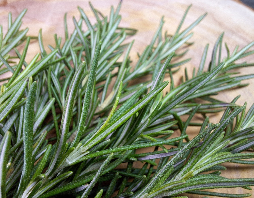 ABunchOfRosemaryLeaves - welltica.dk - Vejen til et bedre liv