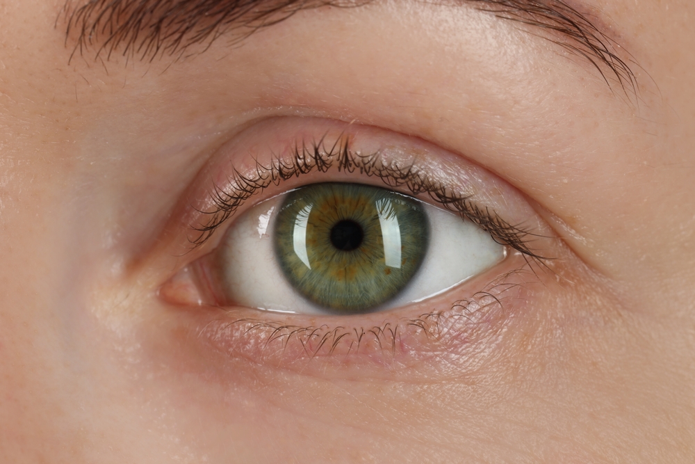 MacroPhotoOfWomanWithBeautifulGreenEyes - welltica.dk - Vejen til et bedre liv