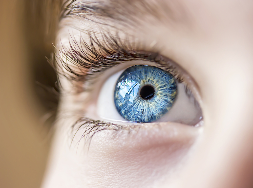 InsightfulLookBlueEyesBoy - welltica.dk - Vejen til et bedre liv