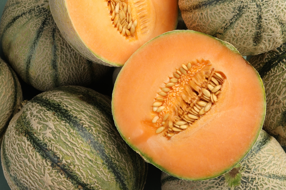 ManyRipeCantaloupeMelonsAsBackgroundTopView - welltica.dk - Vejen til et bedre liv