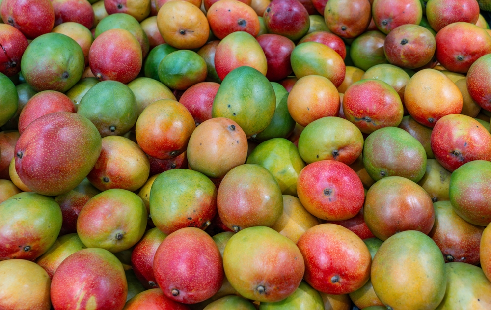 FreshMangoInPileInTheHarvestSeason - welltica.dk - Vejen til et bedre liv