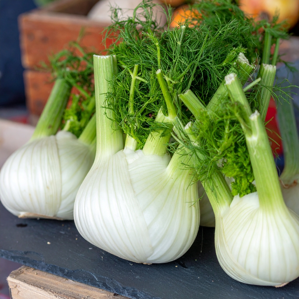 Crisp,Fennel,Bulbs,On,Slate,Board,At,Farmers,Market - welltica.dk - Vejen til et bedre liv