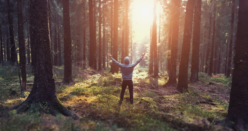 Young,Man,Stand,In,Forrest,And,Enjoys,Nature,And,Sunlight - welltica.dk - Vejen til et bedre liv