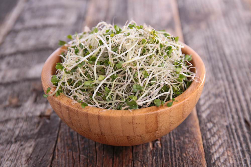 BroccoliSprout - welltica.dk - Vejen til et bedre liv