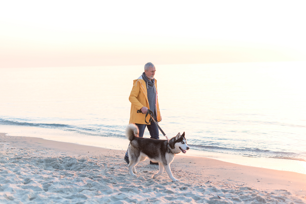 SeniorManWithGreyHairAndBeardInAYellow - welltica.dk - Vejen til et bedre liv
