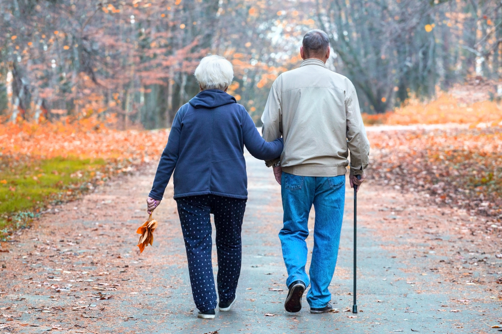SeniorCoupleWalkingInAnAutumnParkBackViewCopy - welltica.dk - Vejen til et bedre liv