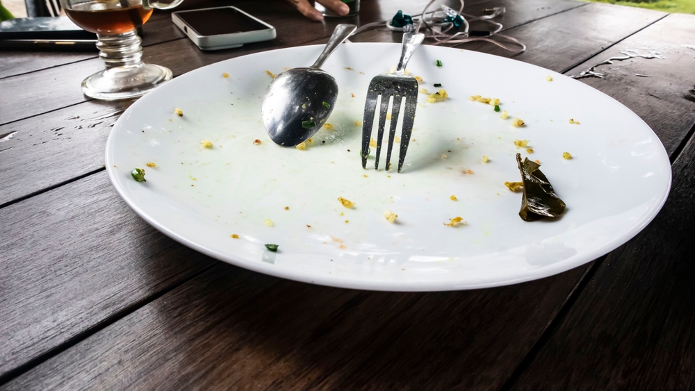 ApparitionAfterEatingWithAnEmptyPlateWithCutleryIn - welltica.dk - Vejen til et bedre liv
