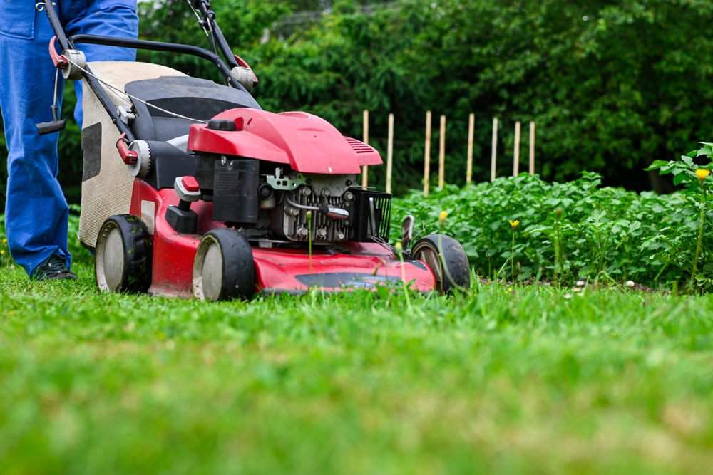 GardenerMowingGreenGrassWithRedLawnMowerInGarden - welltica.dk - Vejen til et bedre liv