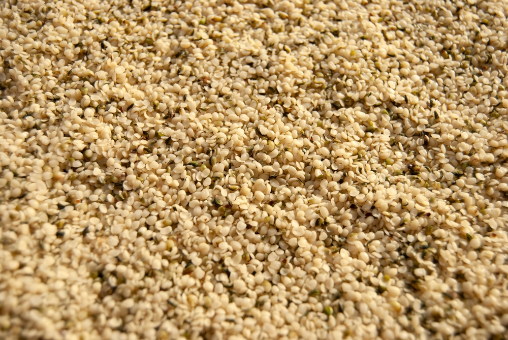 HempSeedsBackgroundOrganicHempSeedsClose-up - welltica.dk - Vejen til et bedre liv