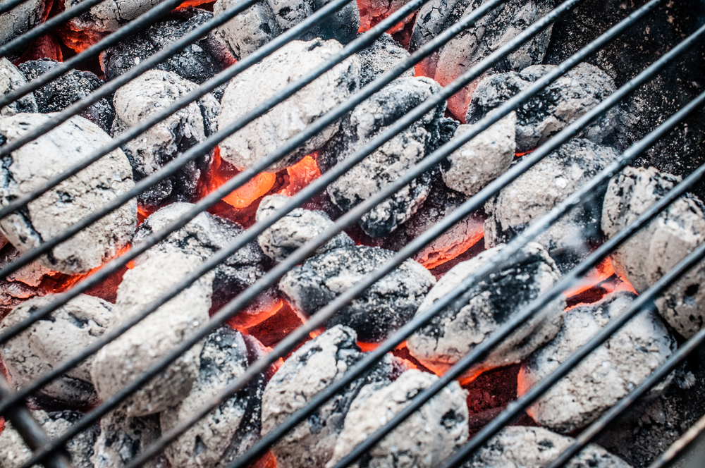BbqCoal - welltica.dk - Vejen til et bedre liv