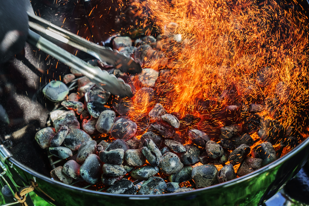 BbqParty - welltica.dk - Vejen til et bedre liv