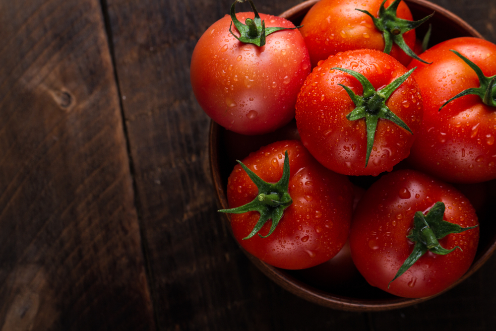 FreshTomatoesInAPlateOnADarkBackgroundHarvesting - welltica.dk - Vejen til et bedre liv