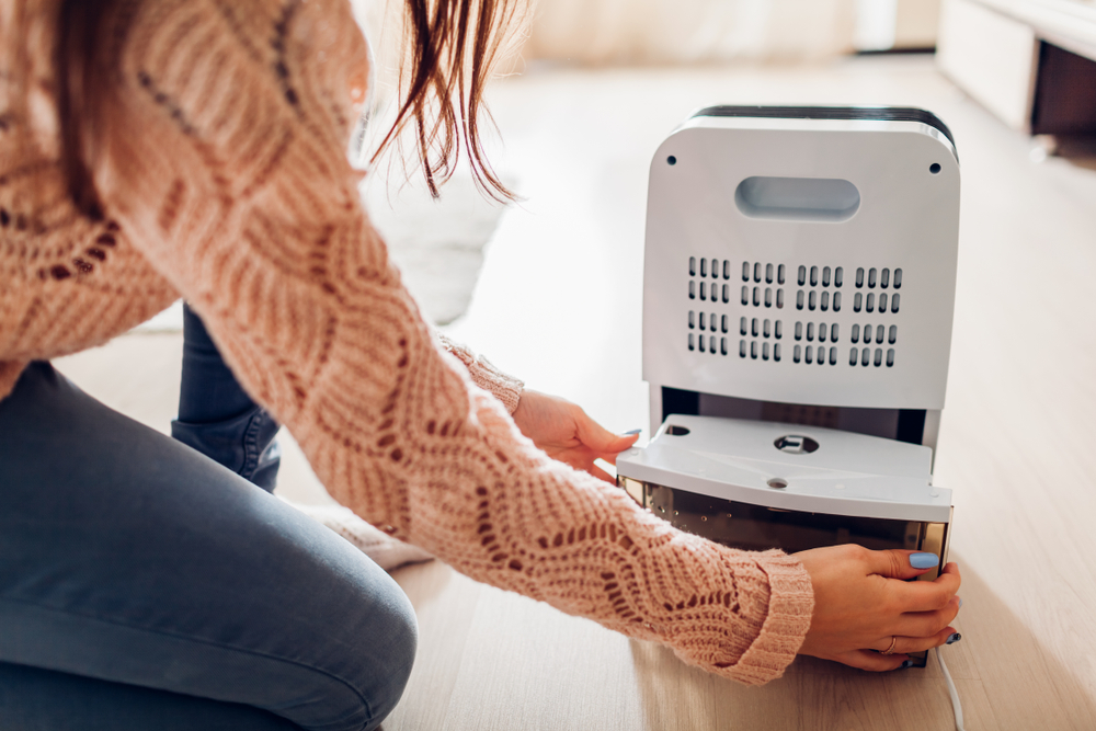 WomanChangingWaterContainerOfDehumidifierAtHomeDampnessIn - welltica.dk - Vejen til et bedre liv