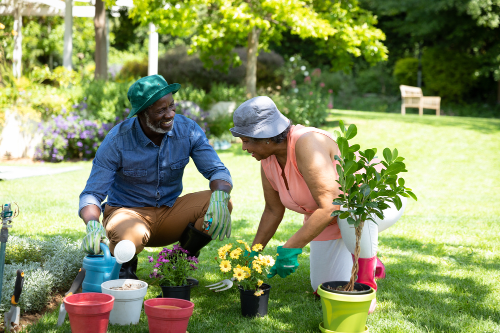 FrontViewOfSeniorAfricanAmericanCoupleInTheGarden - welltica.dk - Vejen til et bedre liv