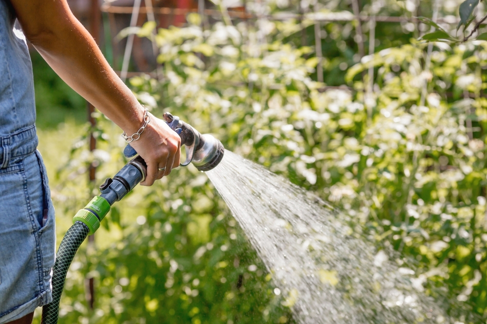 HandsOfAGirlWithAWateringHoseClose-upThe - welltica.dk - Vejen til et bedre liv