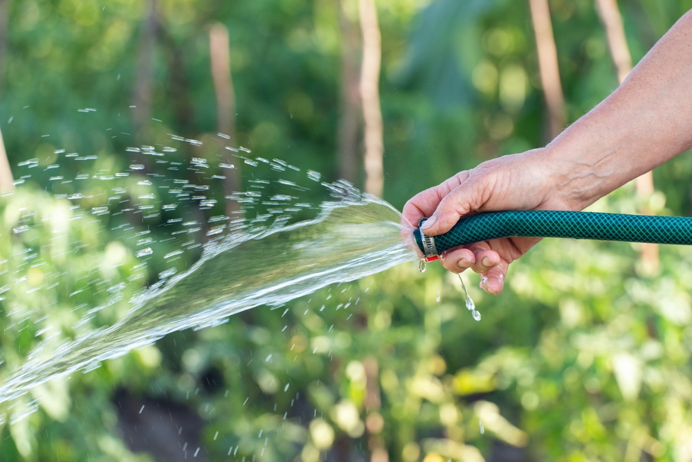 WomanWateringPlantsWithWaterFromAHoseInA - welltica.dk - Vejen til et bedre liv