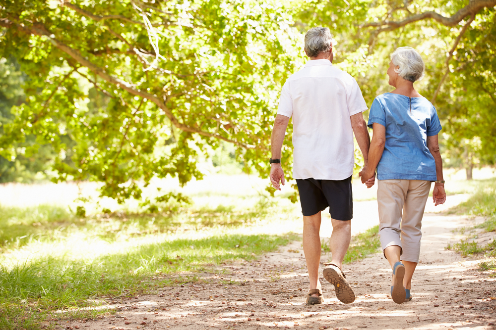 SeniorCoupleWalkingTogetherInTheCountrysideBackView - welltica.dk - Vejen til et bedre liv