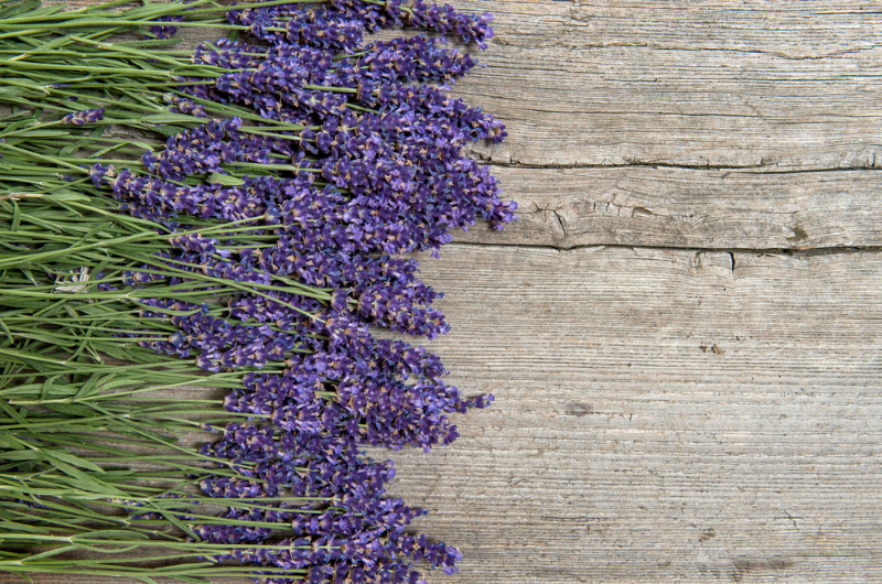Lavendel - welltica.dk - Vejen til et bedre liv