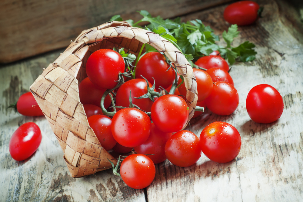 SmallRedCherryTomatoesSpillOutOfAWickerBasket - welltica.dk - Vejen til et bedre liv