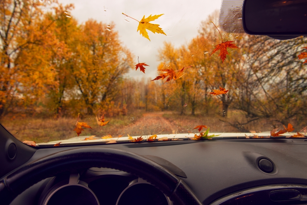 ViewFromTheInsideOfAnAutumnRainyDirtRoad - welltica.dk - Vejen til et bedre liv
