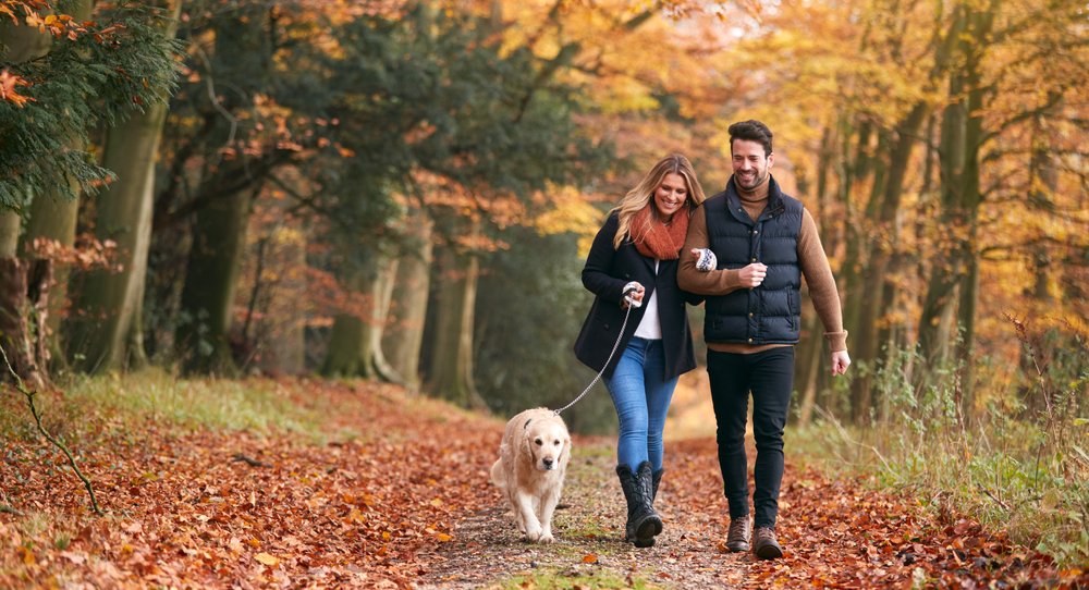 LovingCoupleWalkingWithPetGoldenRetrieverDogAlongAutumn - welltica.dk - Vejen til et bedre liv