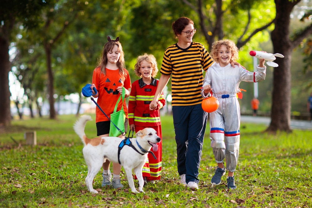 KidsTrickOrTreatInHalloweenCostumeChildrenInColorful - welltica.dk - Vejen til et bedre liv