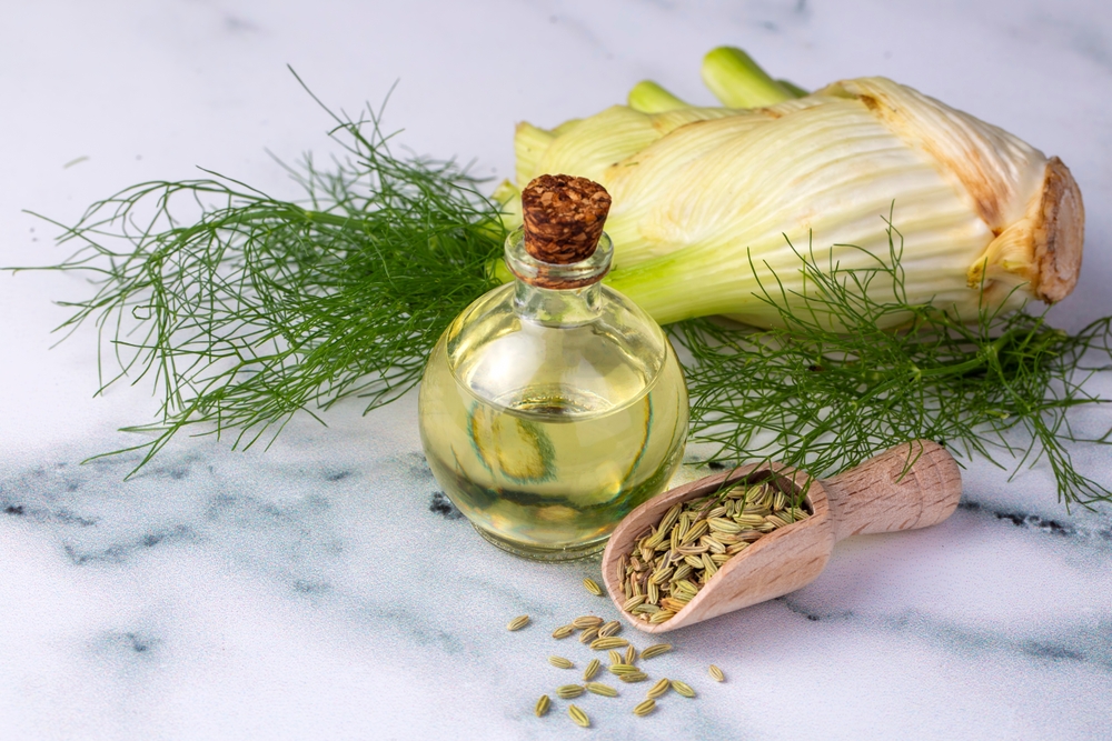 ABottleOfFennelEssentialOilWithFreshGreenFennel - welltica.dk - Vejen til et bedre liv