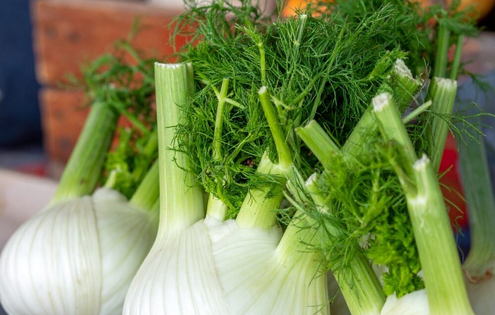 CrispFennelBulbsOnSlateBoardAtFarmersMarket - welltica.dk - Vejen til et bedre liv