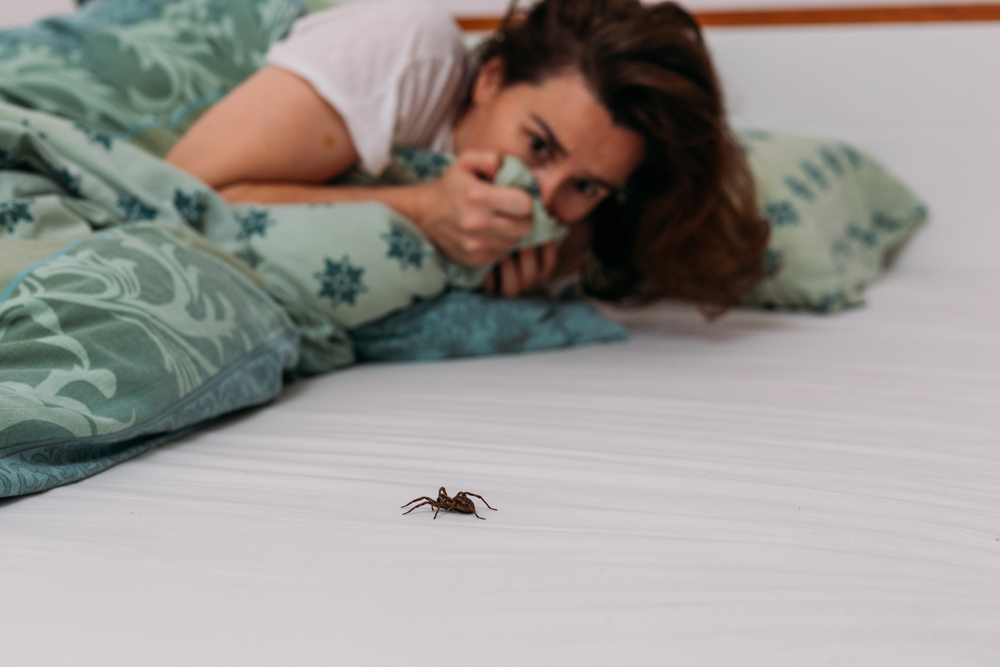 WomanInBedroomTerrifiedByBigSpiderCrawlingOverHer - welltica.dk - Vejen til et bedre liv